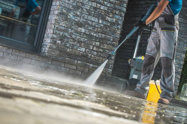 Best Graffiti Removal  in Norwood Young America, MN