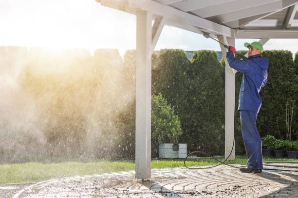 Best Spring Cleaning  in Norwood Young America, MN